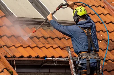 Démoussage et hydrofuge de toiture à Grigneuseville